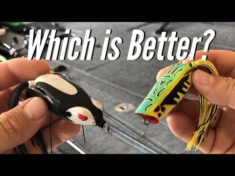 Best Frog For Bass Fishing? (Frogs And Colors Explained)