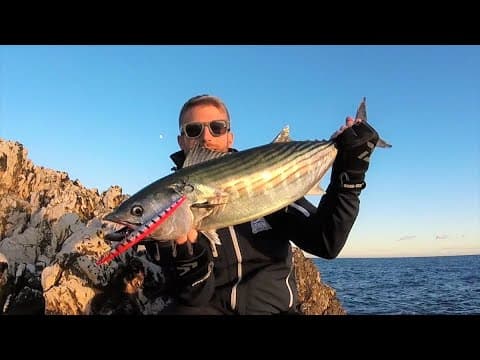SHORE JIGGING &amp; LIGHT SJ - Palamite al primo lancio | Atlantic bonitos at the first cast