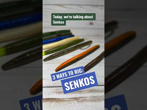 3 Ways to Rig a Senko #bass #fishing #yamamoto #spring