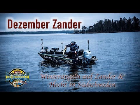 Dezember Zander I Winterangeln auf Zander und Hecht in Südschweden I Smaland Sportfiske