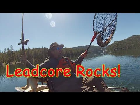 The World's Best Leadcore Rod!