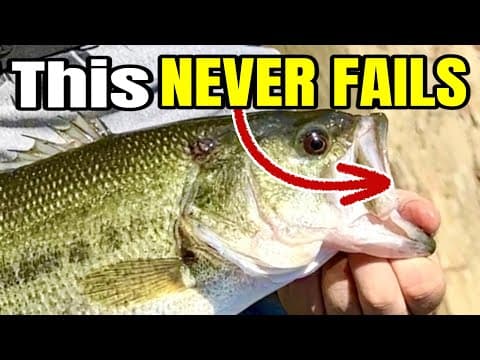 The BEST Baits for Windy Spring Bass Fishing