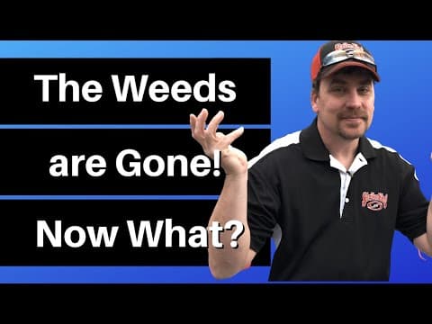 Fall Bass Fishing | Where Do Bass Go When the Weed Beds are Gone?