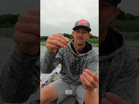 Luke Palmers Favorite  Ways  to rig a Finesse Worm