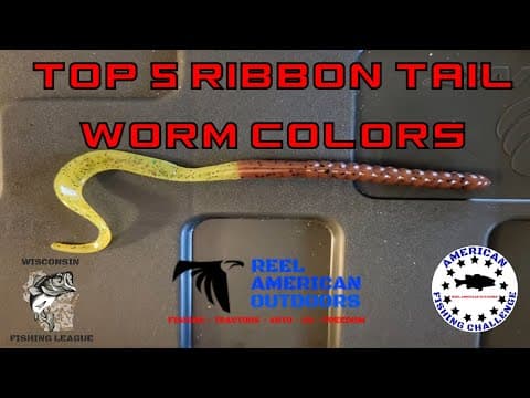 Top 5 Ribbon Tail Worm Colors