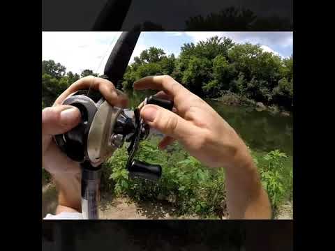 Muskellunge 30&quot; busse woods il.