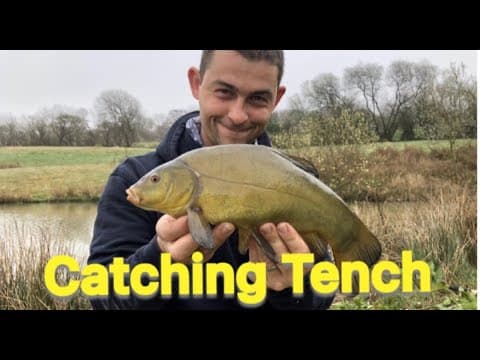 How to Catch Tench a Beginners Guide - Sanctuary Lakes Devon - The Fish Locker