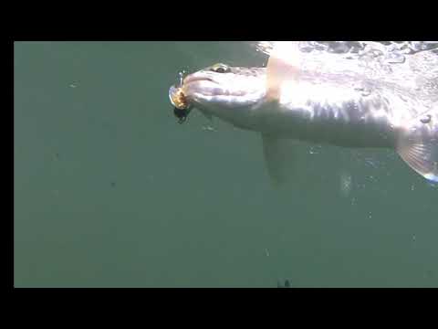 Underwater Float Fishing for Trout on Snoqualmie River - 7/27/2020