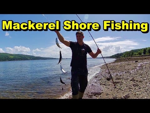 Easy Way - How To Catch Mackerel for Bait Fishing