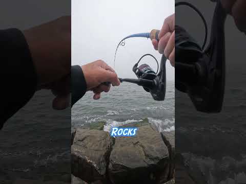 The ABSOLUTE BEST BAIT Fish Can&#39;t RESIST...(Works Year Around❗️)