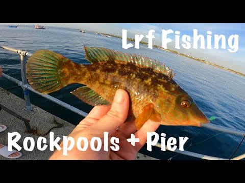 Light rock fishing Rockpools and Piers!!