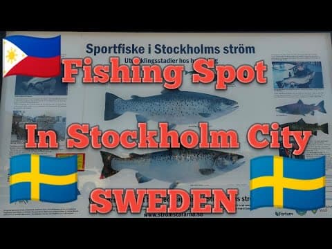 Stockholm City Stream - Fishing Spot