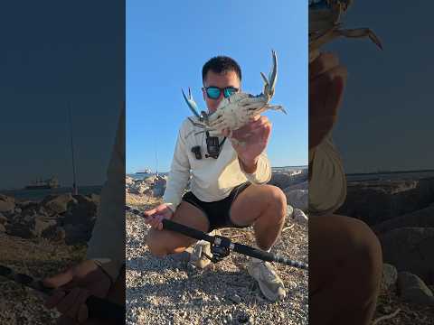 Using DELICOUS Food As BAIT... (OCEAN MONSTERS❗️)