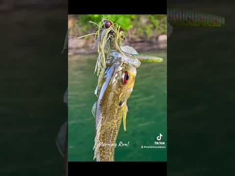 Bass fishing on Summersville Lake, WV