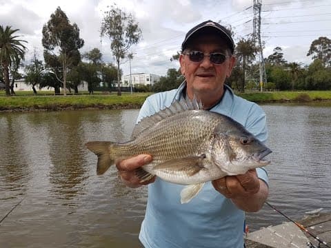 Bream Fishing Maribyrnong River Jetty on Melbourne Cup day