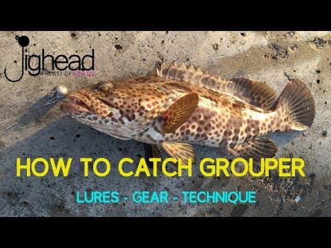 How to catch GROUPER (Hamour) on shore - Rock fishing guide