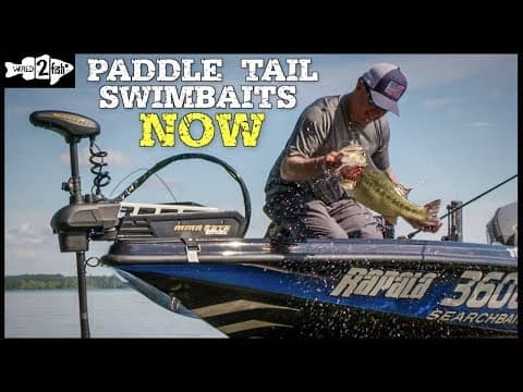 A Beginner’s Guide to Paddle Tail Swimbaits