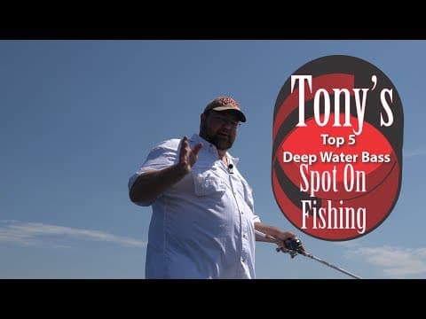 Top 5 Deep Water Bass Baits