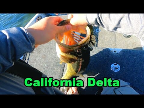 NEW PB | Spring time Fishing on the California Delta | BEST BAG THIS YEAR