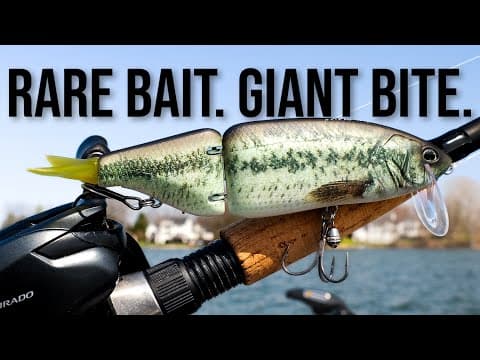 Is the DRT Tiny Klash WORTH the HYPE in 2025?