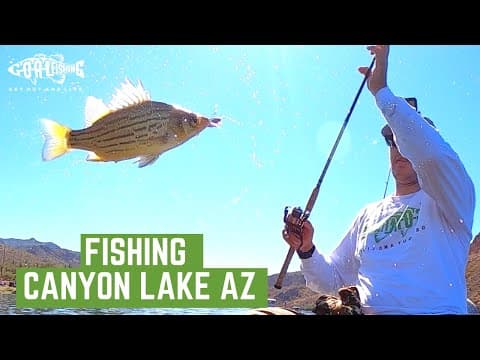 Fishing Canyon Lake AZ // Fill the Cooler with Yellow Bass