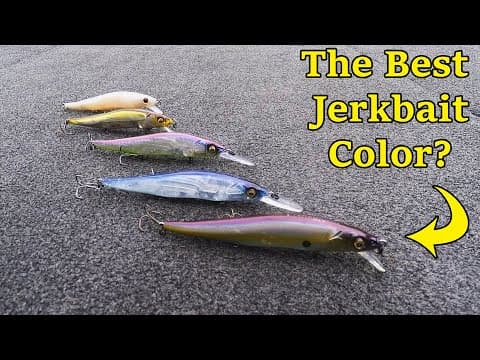 The BEST Jerkbait Colors!