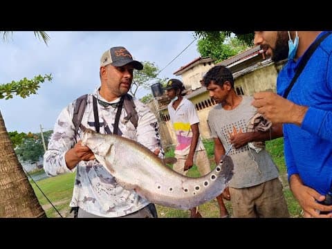 HUNTING GIANT CLOWN KNIFE WITH LURES - EXOTIC INVASIVE SPECIES | SRI LANKA FISHING