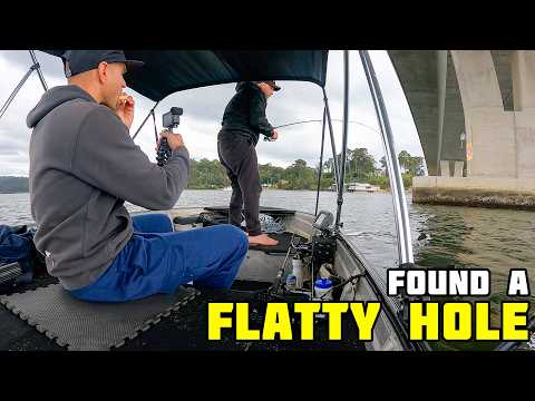 22 FISH in the CLYDE RIVER, BATEMANS BAY