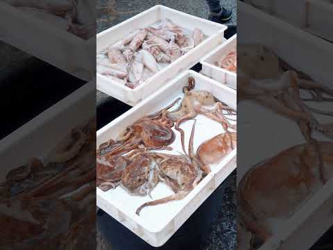 Fish market in Catania, Sicily