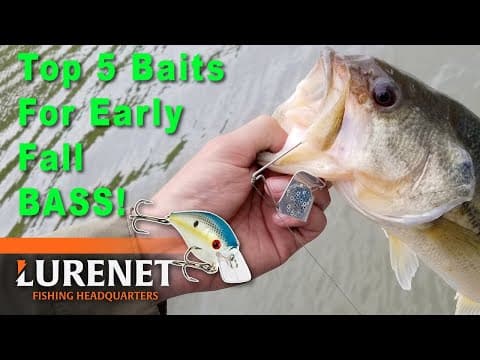 Jason Christie's Top 5 EARLY Fall Bass Fishing Lures – Top Picks & Tackle Tips