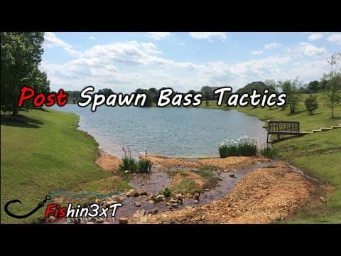 Post Spawn Bass Tactics for ledges and drop offs