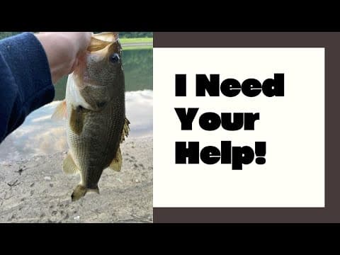 Multi-Species Fishing Spot-Hopping! Bath County, VA