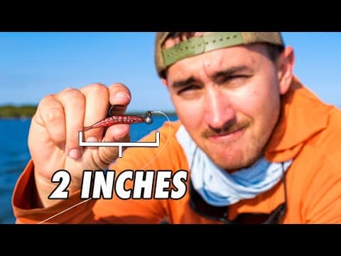 This Lure Is The Easiest Way To Catch Saltwater Fish in Florida