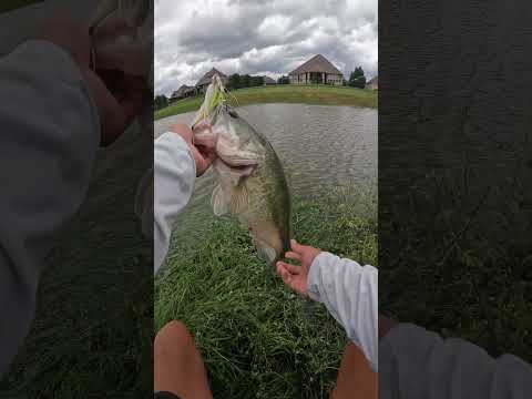 The SECRET To Catching BIG BASS (How To Catch BIG Bass)