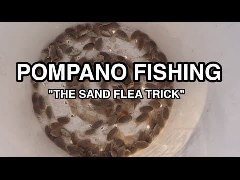 POMPANO FISHING: Easy Trick To Keep Sand Fleas Alive For Days