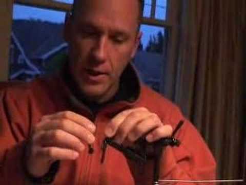 Articulated Flesh Fly