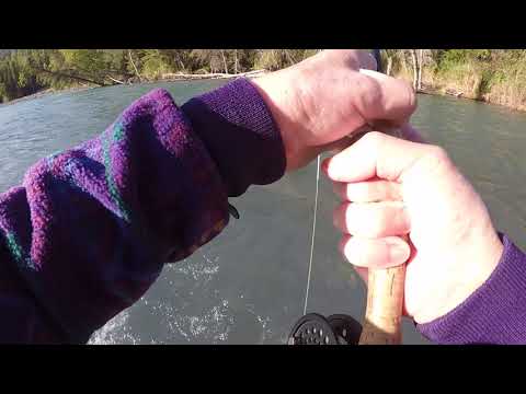 The Upper Kenai. Alaskan river of big trout dreams.