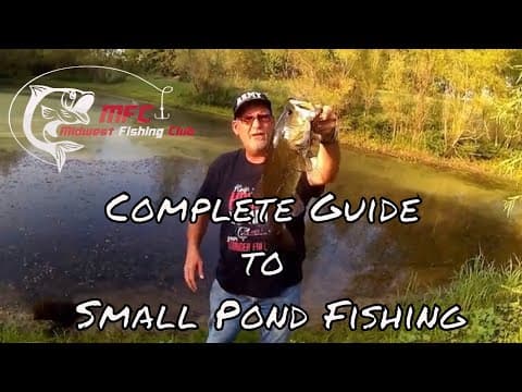 Complete Guide to Small Pond Fishing or How to Catch Big Bass in Ponds.