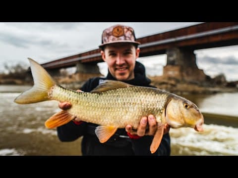 The Ultimate Guide To Sucker Fishing: Must-know Tips And Tricks