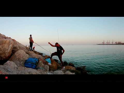 OMAN FISHING VIDEOS, AN EVENING FISHING WITH NOUFI