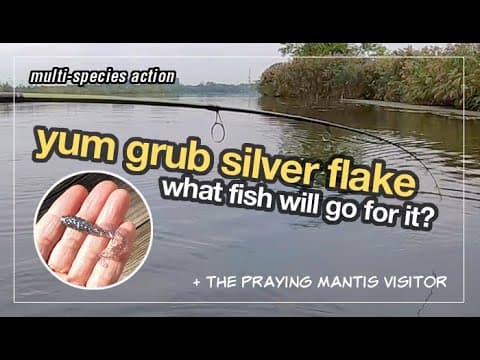 What Fish Will Go For 3-Inch Yum Grub (Silver Flake Color)?