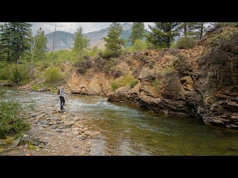 Exploring Tributaries for IDAHO&#39;S Rarest Fish | Bull Trout Fly Fishing