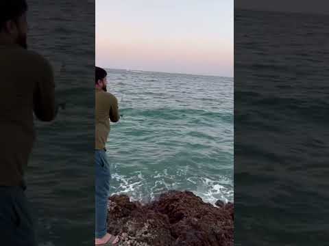 Fishing in oman 🇴🇲 |Muscatoman|Muscatroad