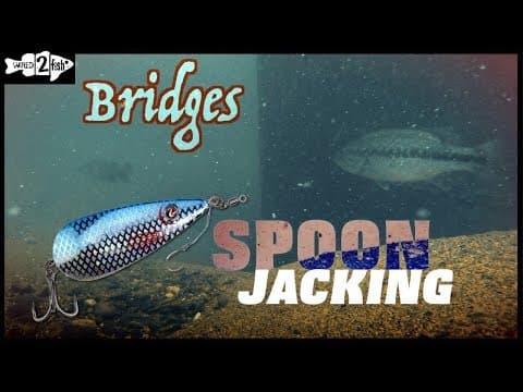 How to Spoon Jack Bass on Bridges