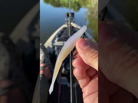 BEST Soft Plastic Jerk Bait | FALL FISHING | #shorts