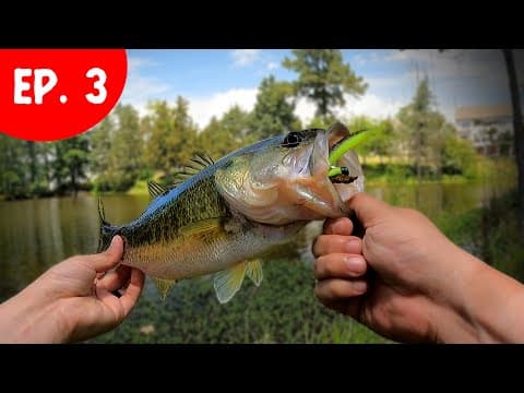 Fishing like Aggressively Average Anglers | Z-Man Finesse TRD