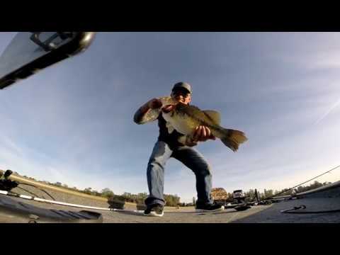 Lake Natoma Giant Bass_SacBass
