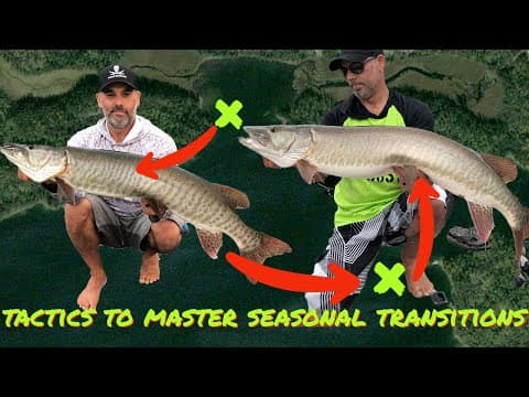 SPRING TO SUMMER MUSKY FISHNG TACTICS! Whiteboard breakdown of shield lake spring and summer areas!