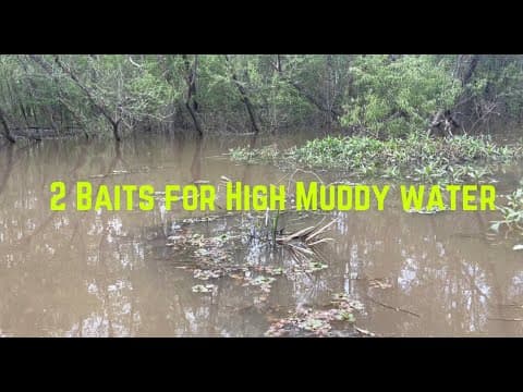 2 BAITS for HIGH MUDDY WATER | Keep it Simple Series #bassfishing, #risingwater, #dirtywater