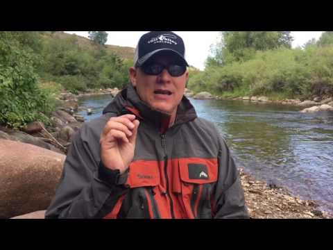 Colorado River Fishing Report 8/26/16
